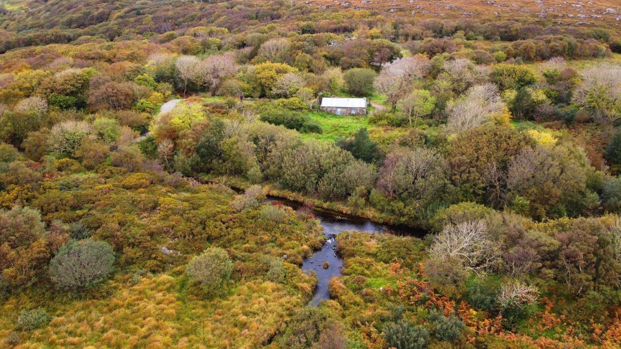 Fernwood Villa Clifden Buitenkant foto