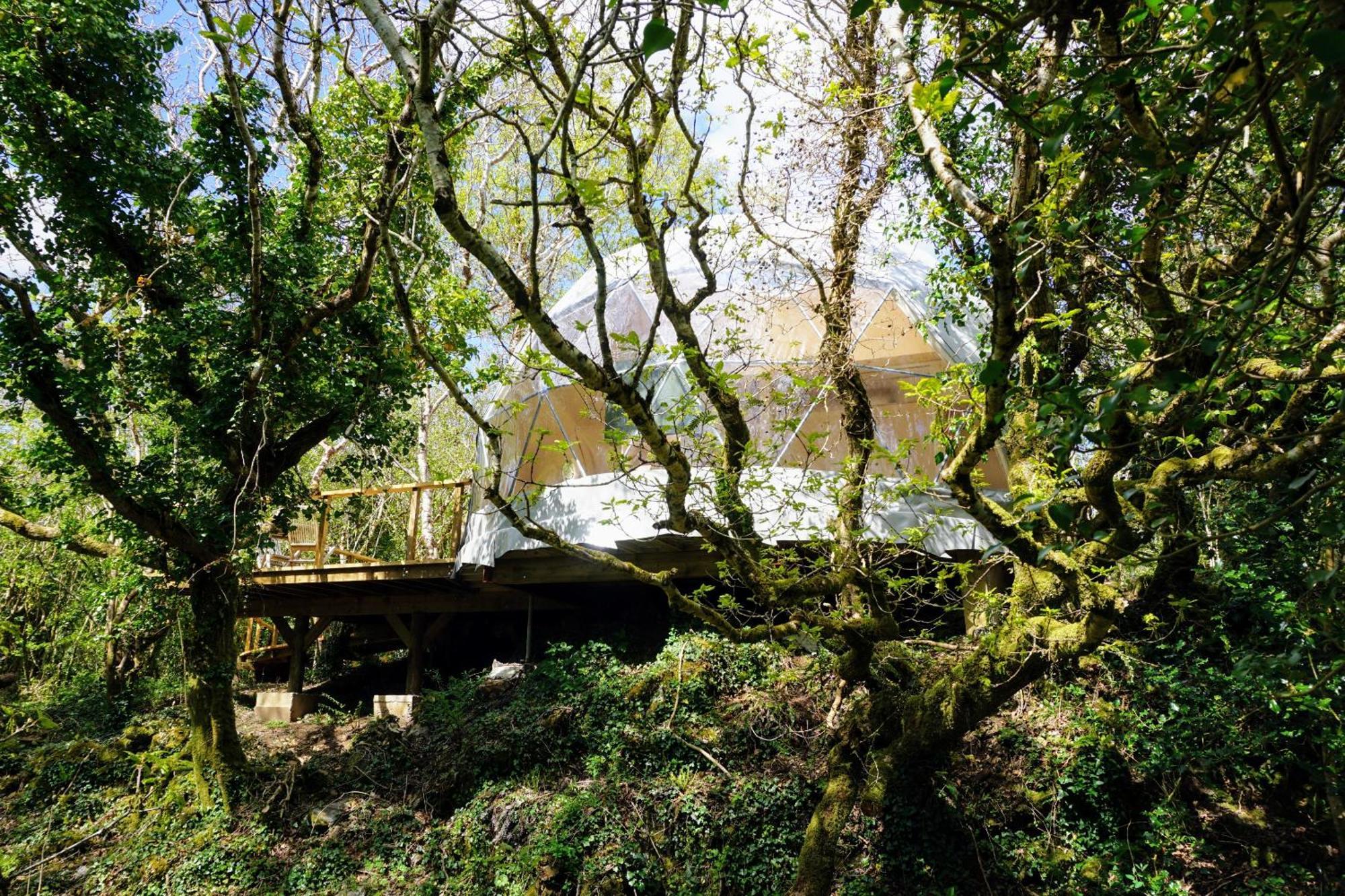 Fernwood Villa Clifden Kamer foto